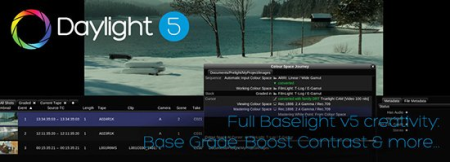 FilmLight Daylight 5.2.14021 (macOS/Linux)