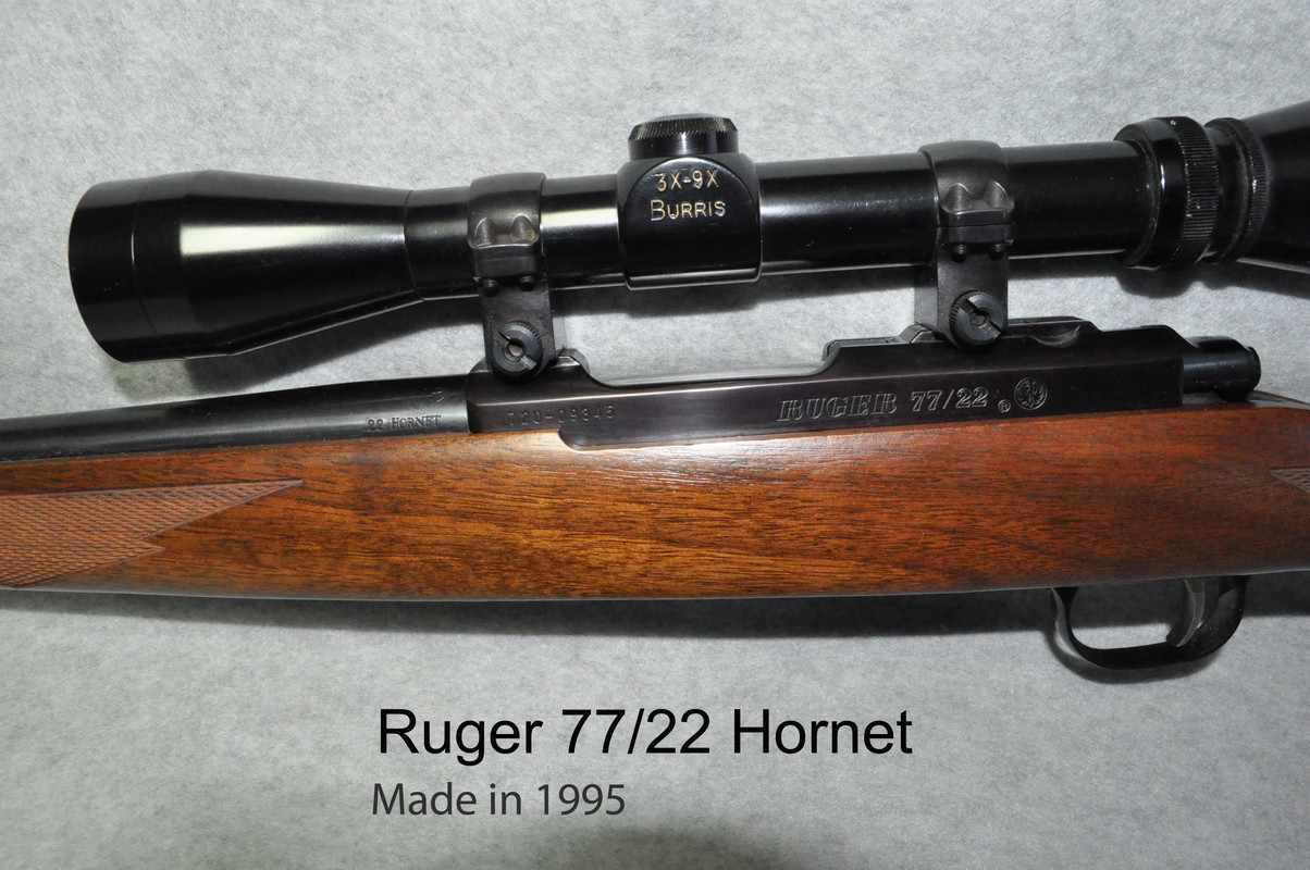 Ruger 77 22 Hornet 03