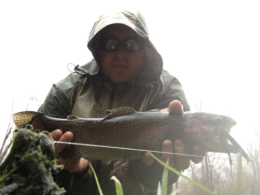 45382A89-5457-4B95-AC03-70F05374DB9E