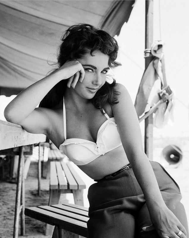 02-best-hourglass-bodies-elizabeth-taylor.jpg