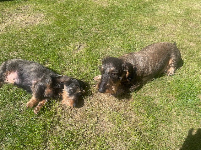 [Image: IMG-6507.jpg]