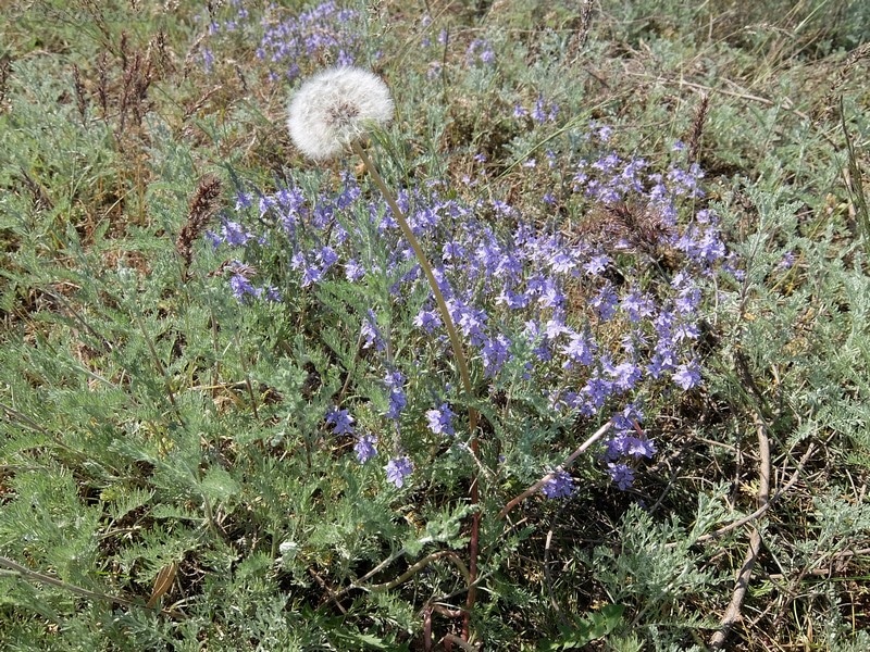 DSCF5811