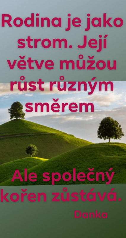 USER_SCOPED_TEMP_DATA_orca-image--1220743040