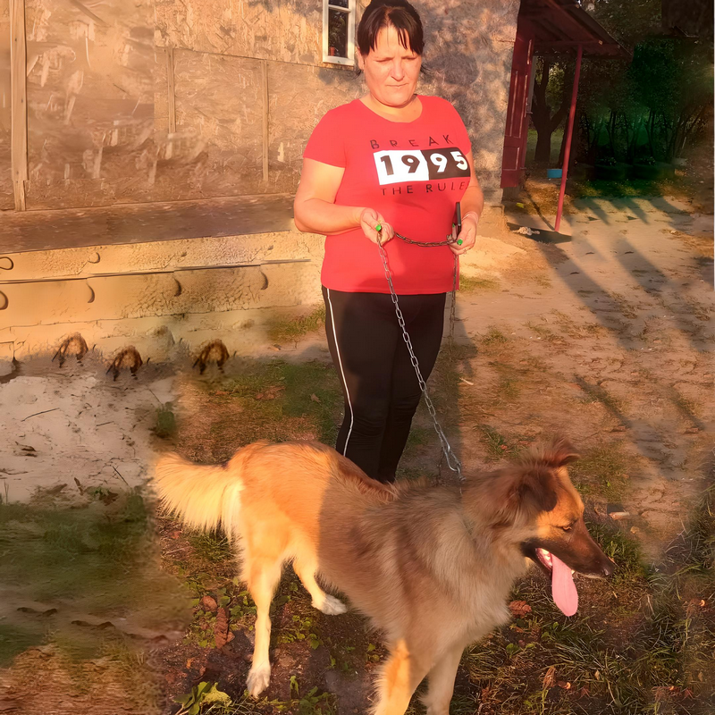 Olena’s daily walk with dog