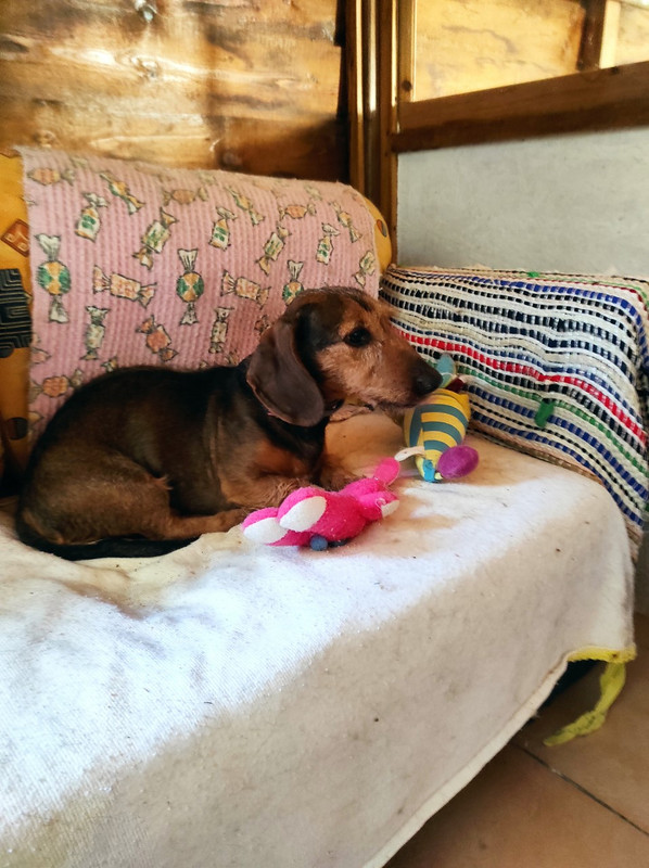 [Image: thumbnail-Mickey.jpg]