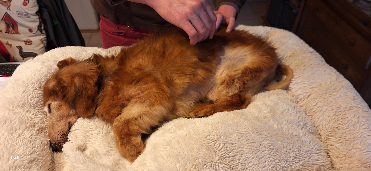 [Image: 20250327-190458.jpg]