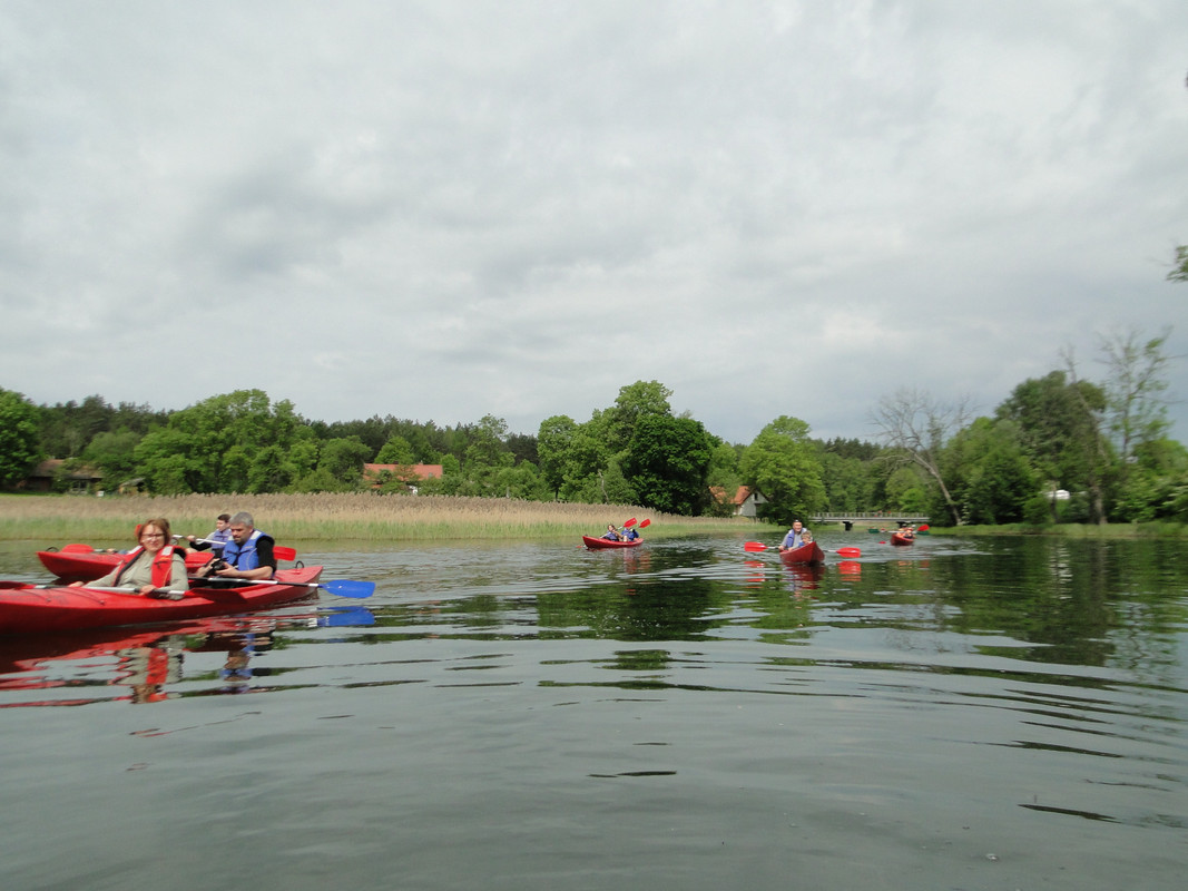 10 - DSC03911 (Mysikrólik)