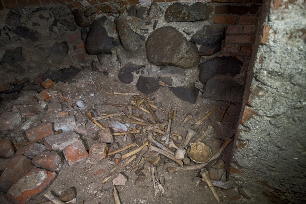 07.07 - DSC02015_corrected (zbychowiec)