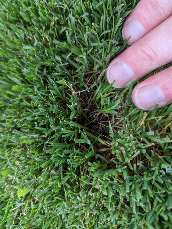 PXL_20220519_135957962