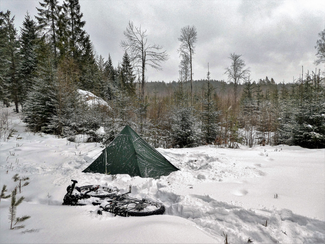 [Linket bilde fra i.postimg.cc]