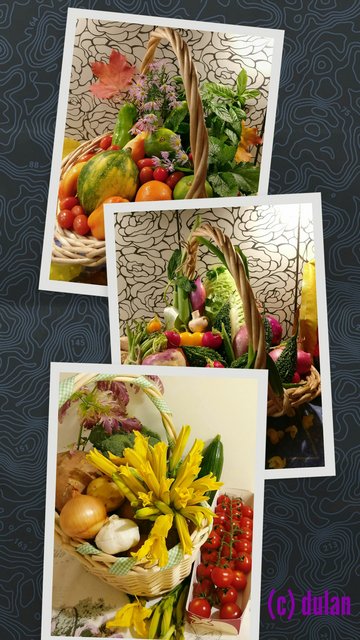 [Image: IMG-20221211-111922.jpg]
