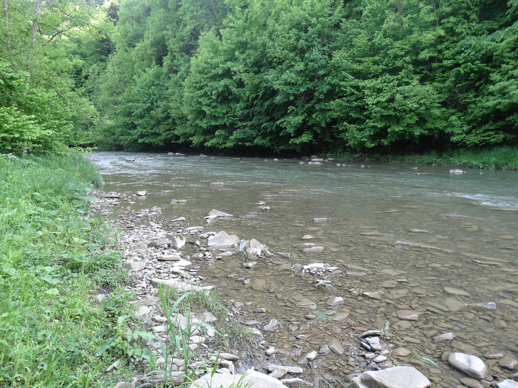 012 - DSC00601 (Czesio1)