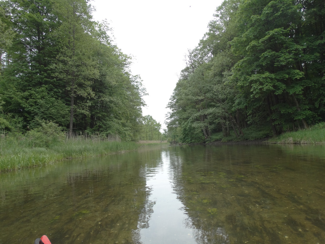 21 - DSC03938 (Czesio1)