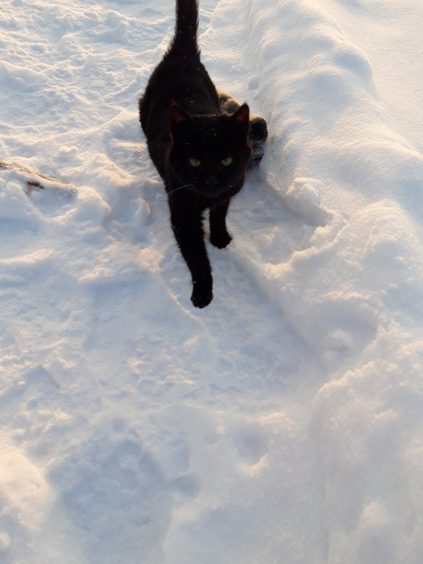 9A8B87F1-8B5C-4F3F-85E1-F1F5DF9D6B6C