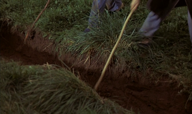 vlcsnap-2021-11-02-23h19m15s092