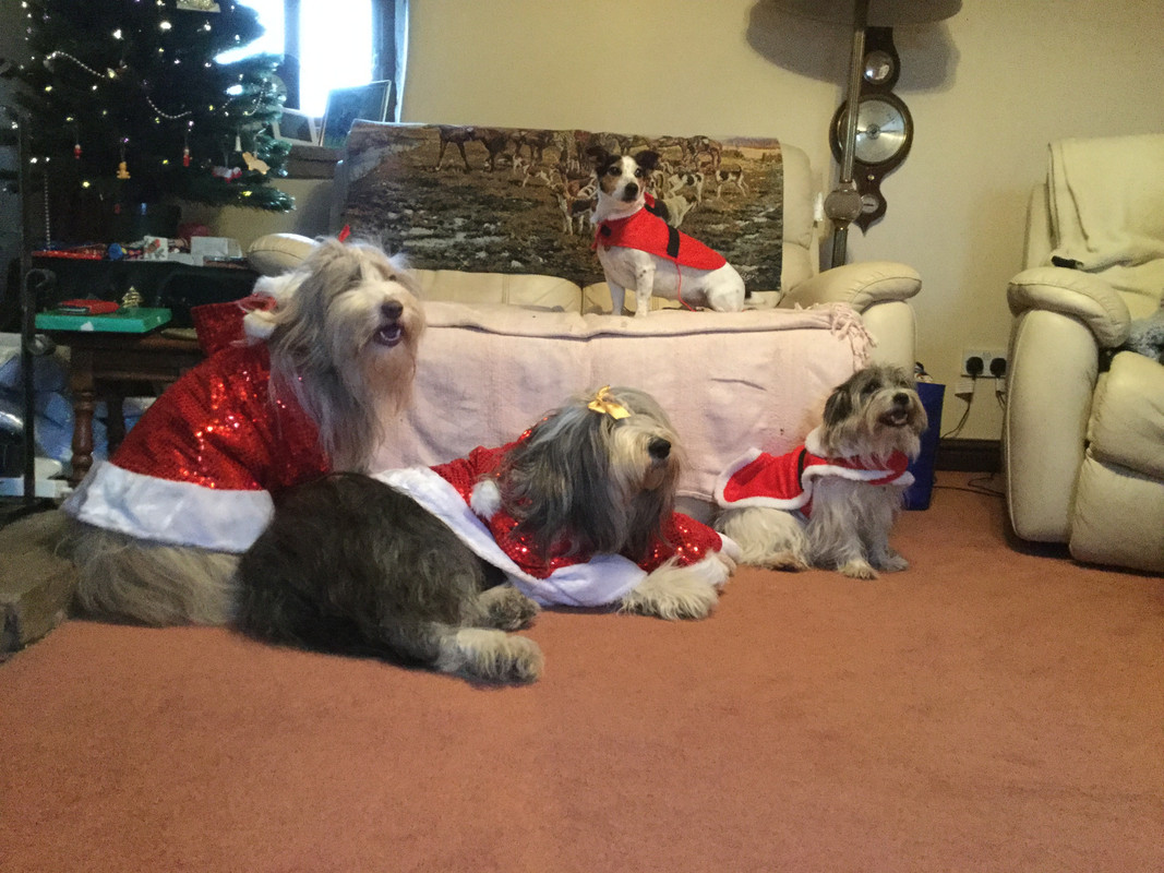 32A4C261-6F8F-47C0-9597-320272A2C15B