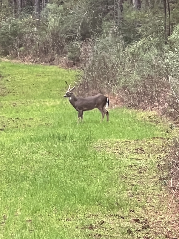 4D9808C3-46F8-45F1-8168-793EFAB27DCF