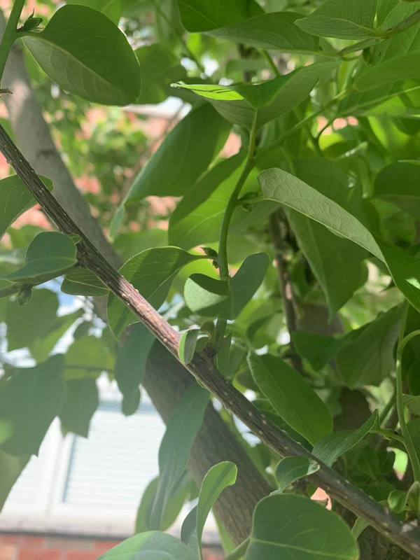 AD340A54-583B-43BB-8F70-4D01059FEA70