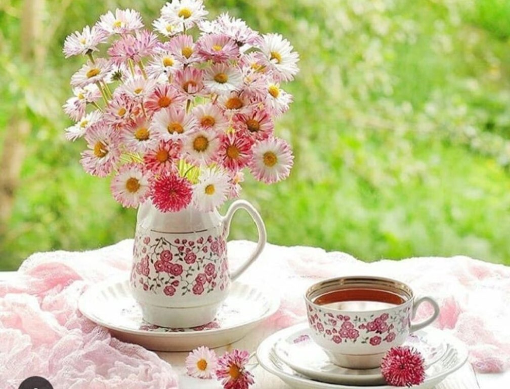Добрейшего утречка цветы. Утро цветы. Утренний букет. Красивые утренние цветы. Доброе утро летние цветы.