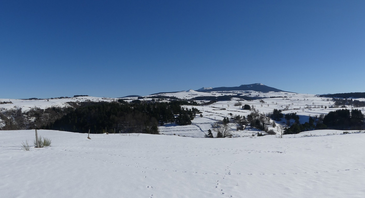 P1080361.jpg