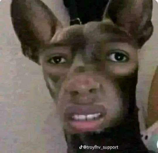 FB_IMG_1705059228590