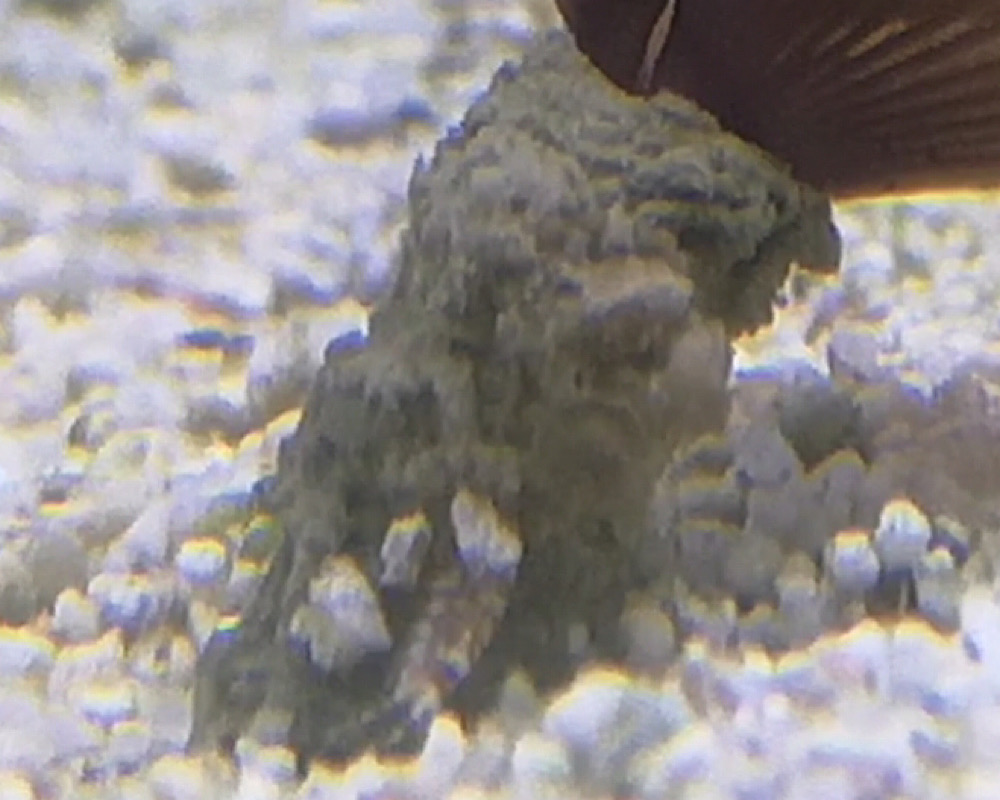 5DDF4C90-4260-4EB4-B2CE-64ABD2D1CFE4