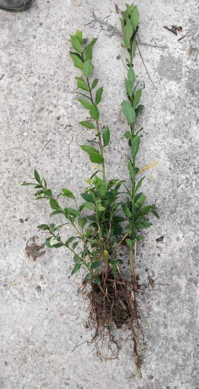 изображение_viber_2023-10-30_11-03-38-181