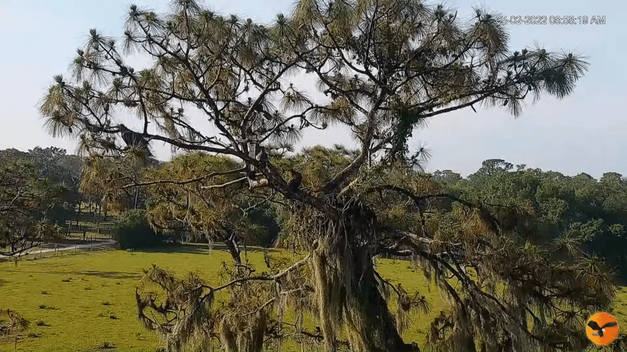 Webp.net-gifmaker (1)