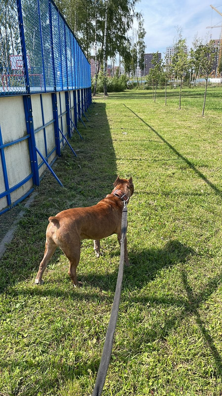 C0C51E1F-C2B2-404A-81BB-C0C6E190318D