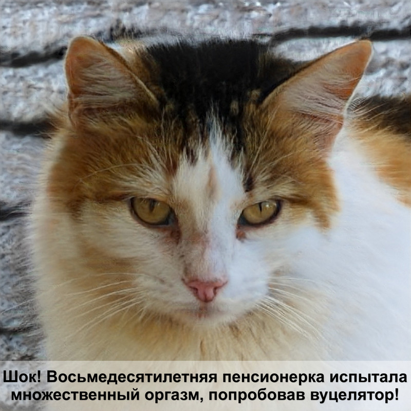 animonda корм для кошек