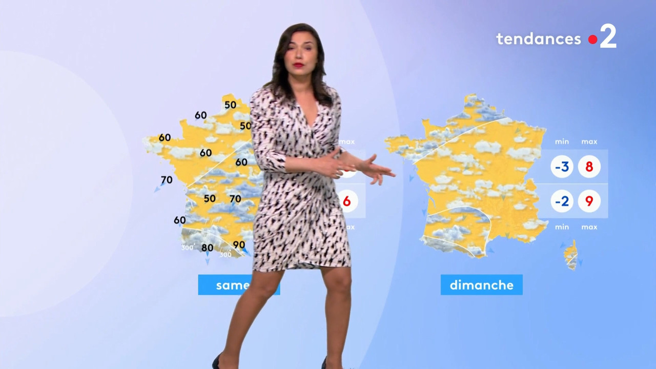 2021-03-17_20_35_Fr2_Meteo.mp4_snapshot_08.58.230