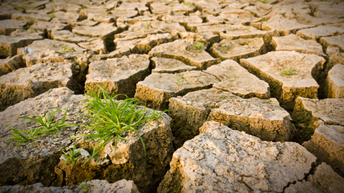 Understanding the Natural Climate Cycles