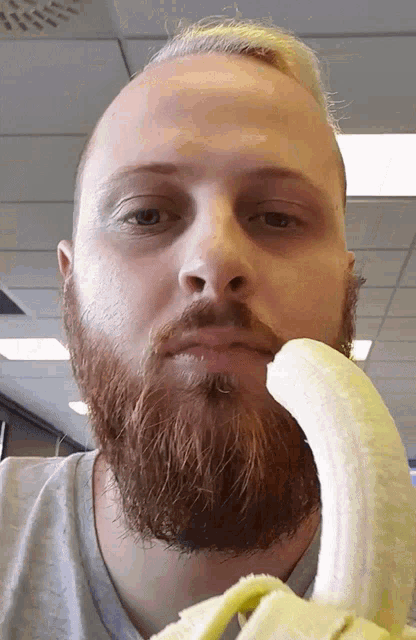 prawln-banana.gif