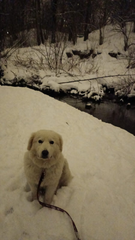 61FD98B9-4674-41DD-AC08-EF9006DAAEA0