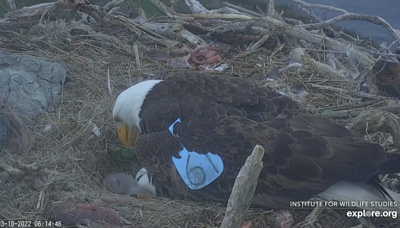 99B8B774-3F10-446E-A95F-4D145EBA82E9