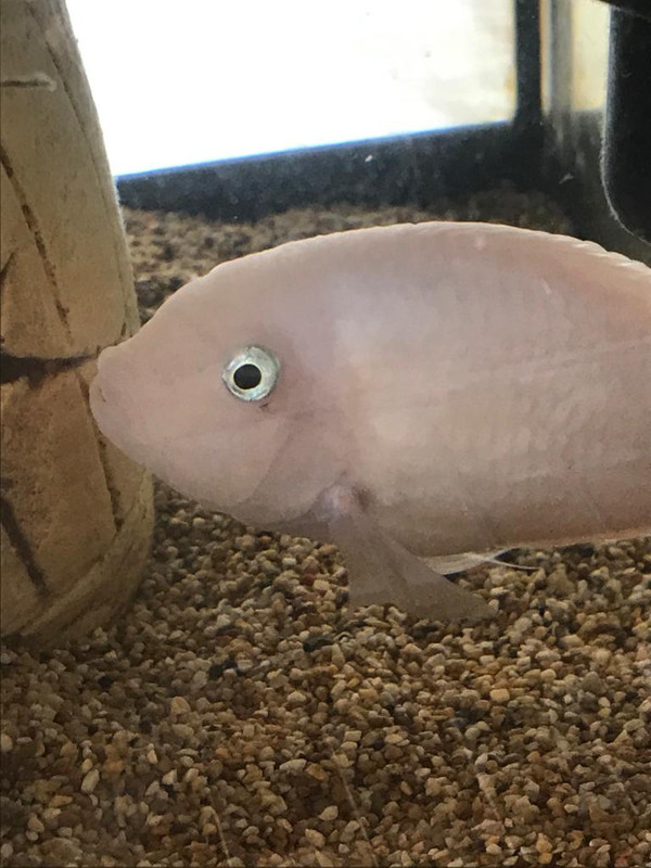 124FD57D-1091-49B3-955A-7EF7EEDA6BC9