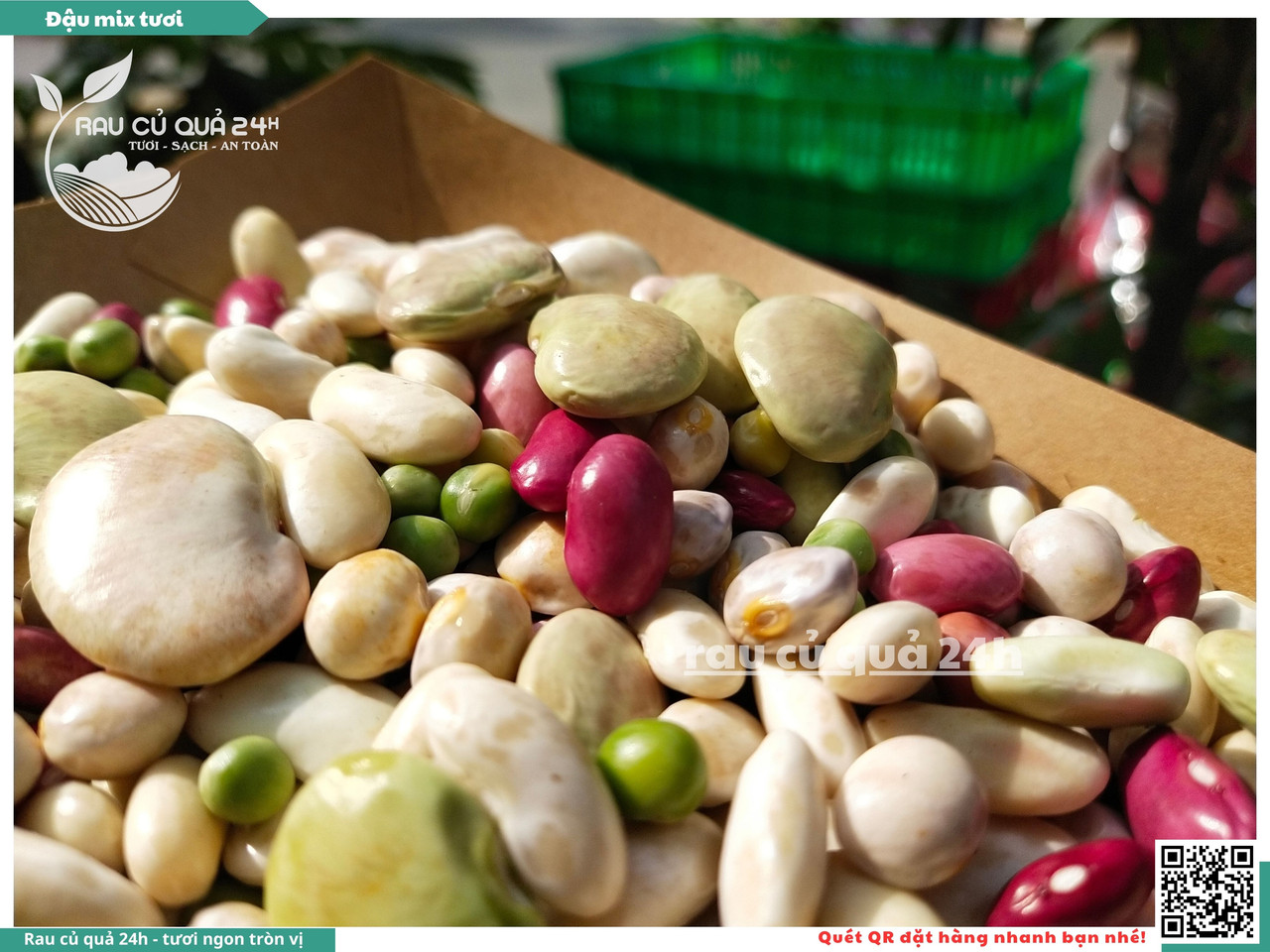 Đậu Mix Tươi 14