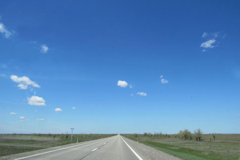 IMG-4708.jpg