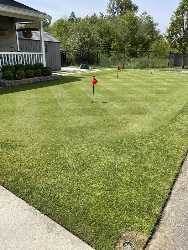 383CDF0D-053F-420E-AEDA-41845D3E5476