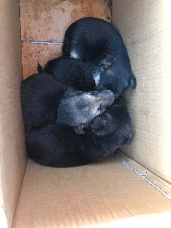 945950AE-6C10-42A2-A53C-857C276E4E6E