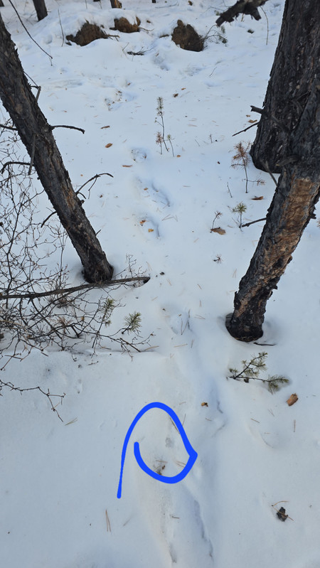 IMG2 23022026 092109