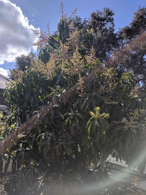 [Image: IMG-20190122-115153.jpg]