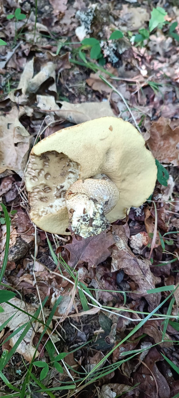 WhatsApp Image 2023-07-31 at 13.04.57 (1)