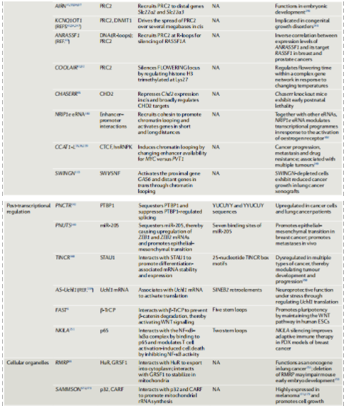 lncRNAs的基因调控及其生物学功能-3.png