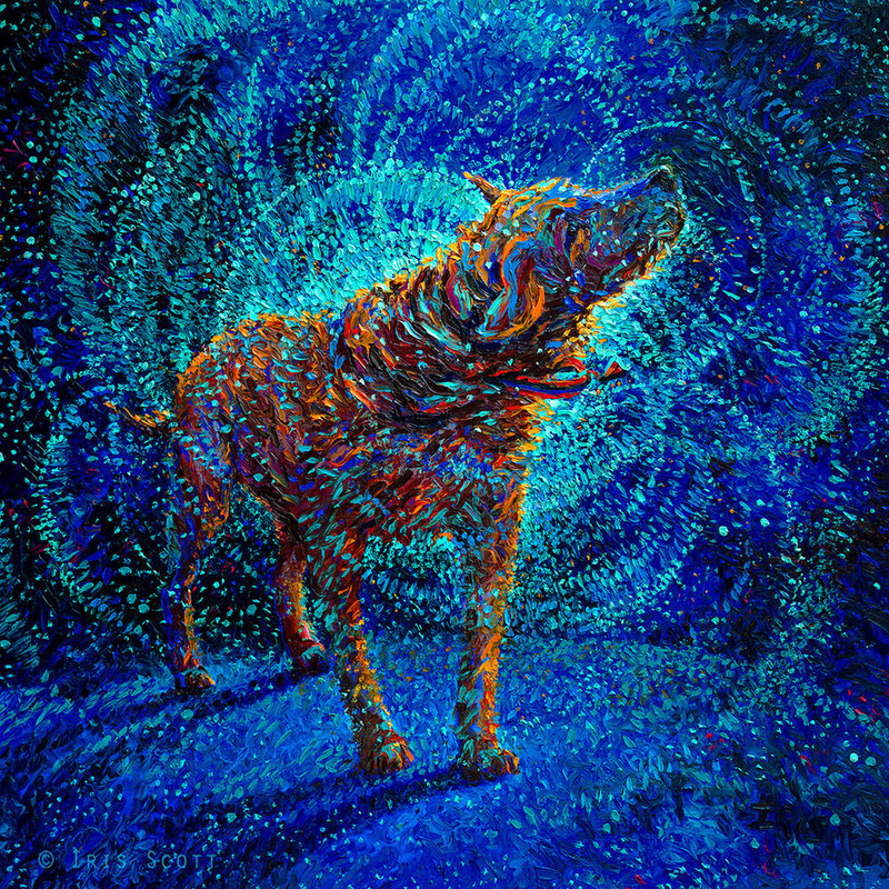 5675ffaa1736f85ffb93