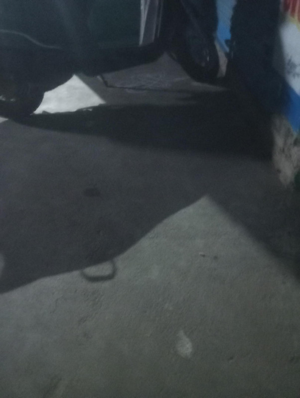 17727283357407651331762967228981