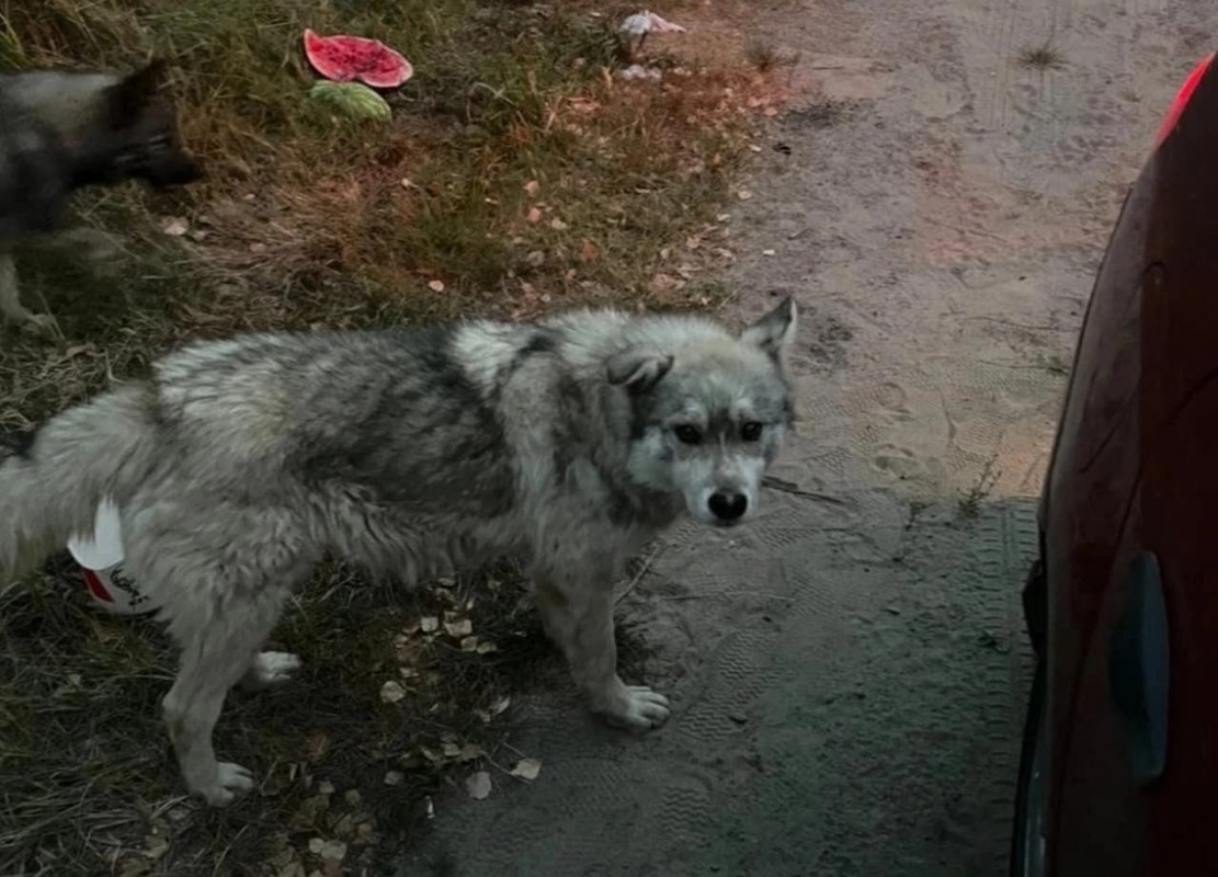 WhatsApp Image 2022-09-03 at 15.03.00 (1)