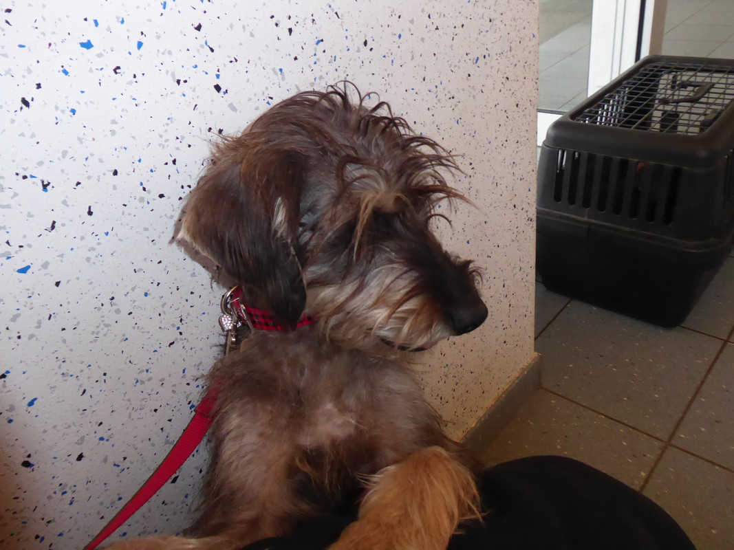 [Image: P1040904.jpg]