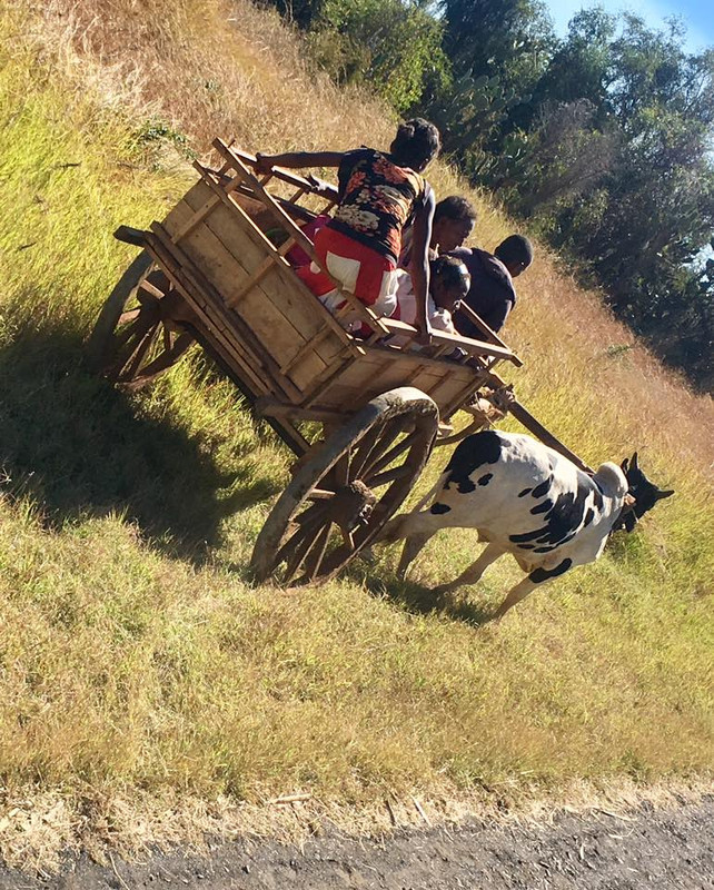 18765922-10154485557670703-4417801631534