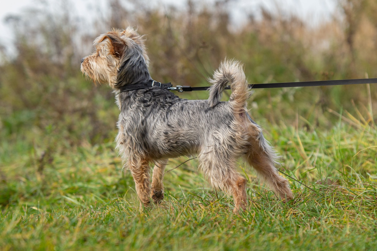 jxy3Sb5GGSjdBesS8sAnu2WRwtXYfPW-Jxc_sQ48G5dCv1zvHDcXdPCn0qyrUFyXFoLizpb2lJ2E0ZpSjYgvtKm6